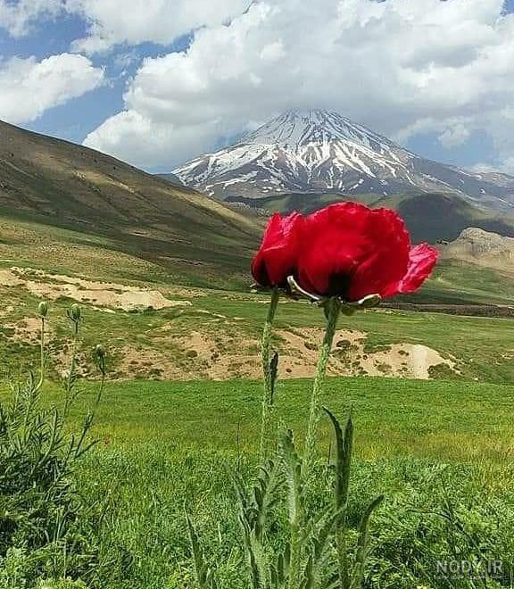 تصاویر بهاری