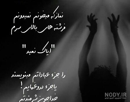 عکس سیاه سفید شاخ عکس سیاه سفید شاخ