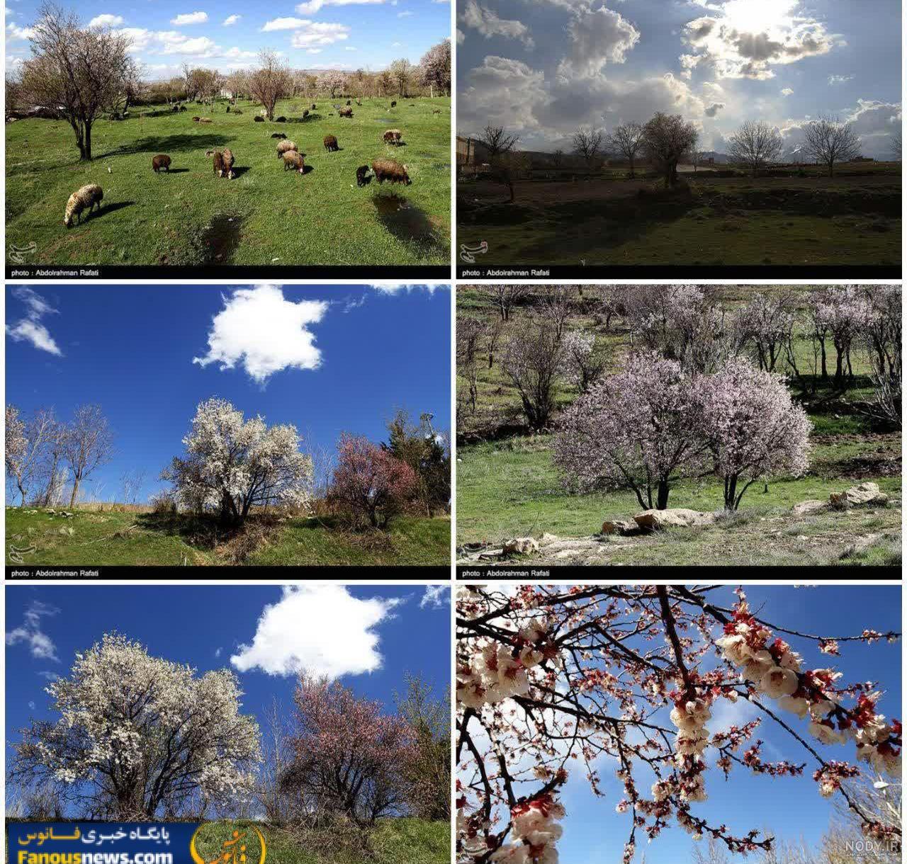 عکس طبیعت بهاری شمال