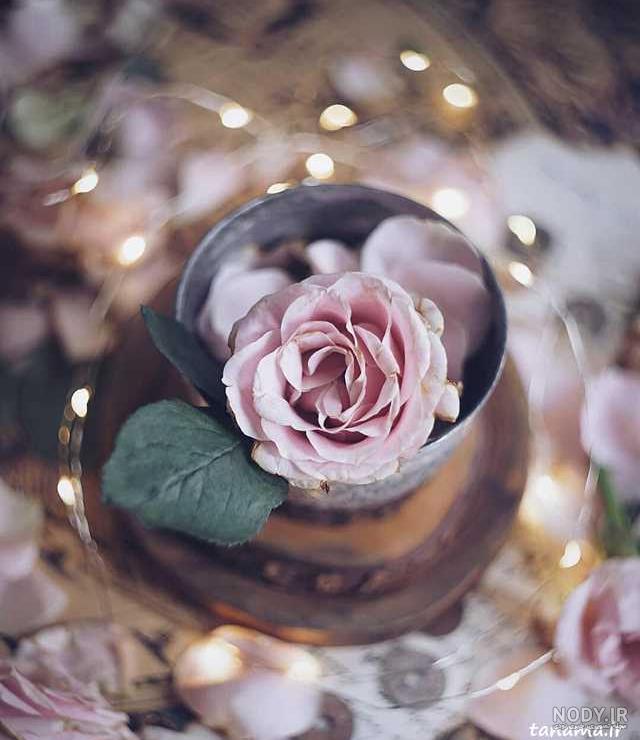 عکس پروفایل شیک و جذاب
