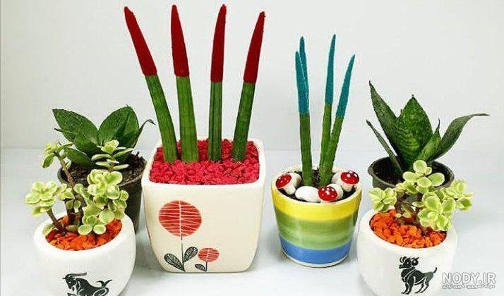 عکس گل طبیعی در منزل عکس گل طبیعی در منزل