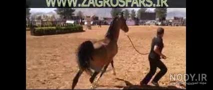 فیلم کامل کشش اسب pdf فیلم کامل کشش اسب pdf