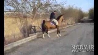 فیلم کشش اسب شکار شریف فیلم کشش اسب شکار شریف
