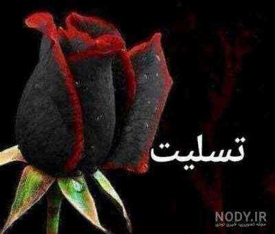 مرگ خاله خاله مهربونم روحت شاد مرگ خاله خاله مهربونم روحت شاد