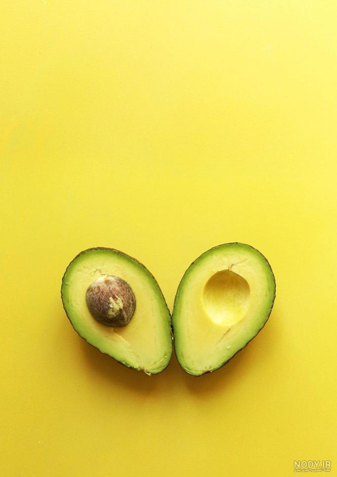 عکس آووکادو واقعی