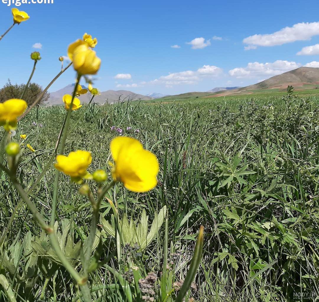 تعریف طبیعت برای کودکان