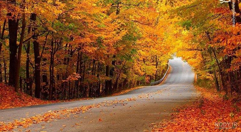 جاهای دیدنی کردکوی جاهای دیدنی کردکوی