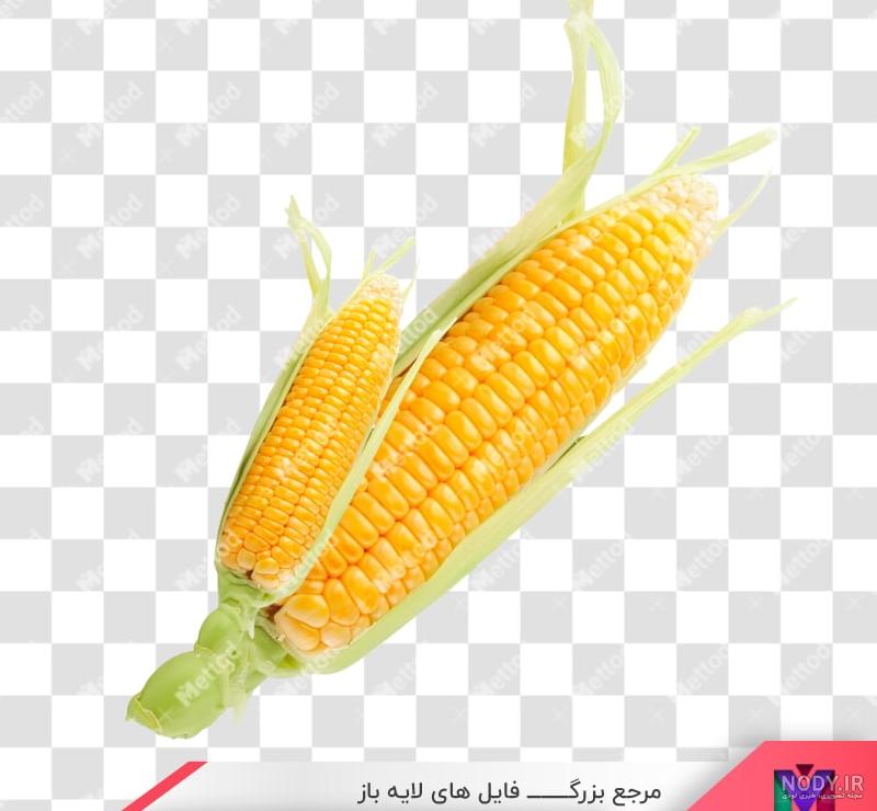 ذرت بو داده و دیابت