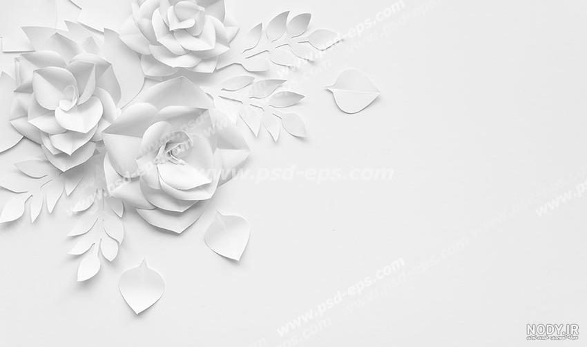 عکس تصویر زمینه سفید سیاه