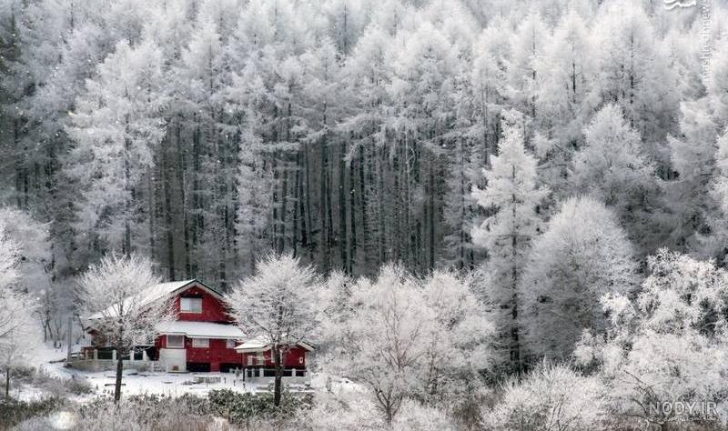 عکس زیبا از طبیعت زمستان
