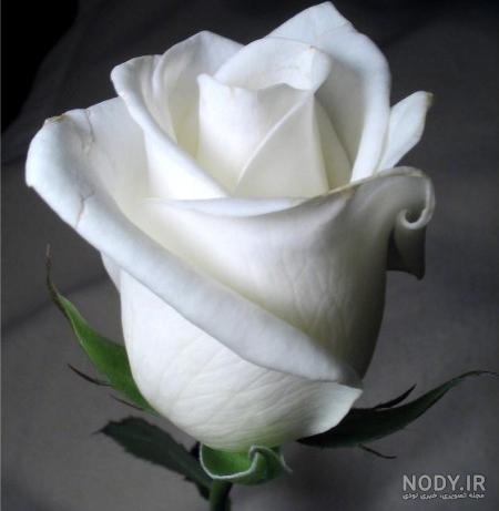 عکس سیاه سفید طبیعی دخترانه عکس سیاه سفید طبیعی دخترانه