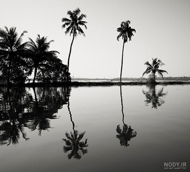 عکس سیاه و سفید از طبیعت