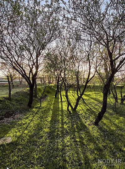 عکس طبیعت عادی