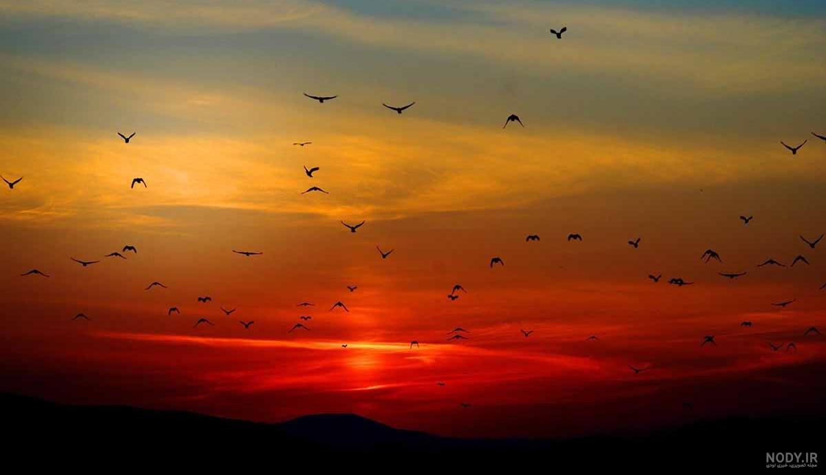 عکس غروب تنهایی