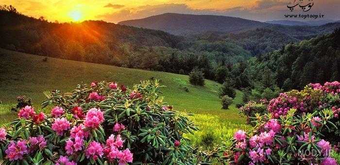 عکس های زیبای طبیعت خداوند عکس های زیبای طبیعت خداوند