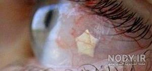 عکس پروفایل چشم قهوه ای عکس پروفایل چشم قهوه ای