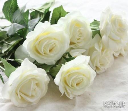 عکس گل طبیعی سفید عکس گل طبیعی سفید