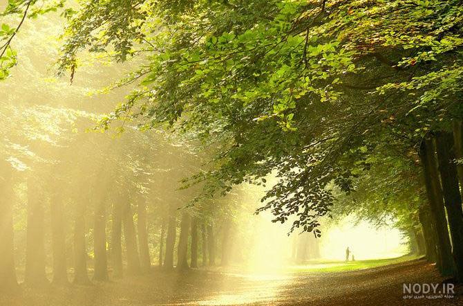 عکسهای زیبا از طبیعت خدا عکسهای زیبا از طبیعت خدا