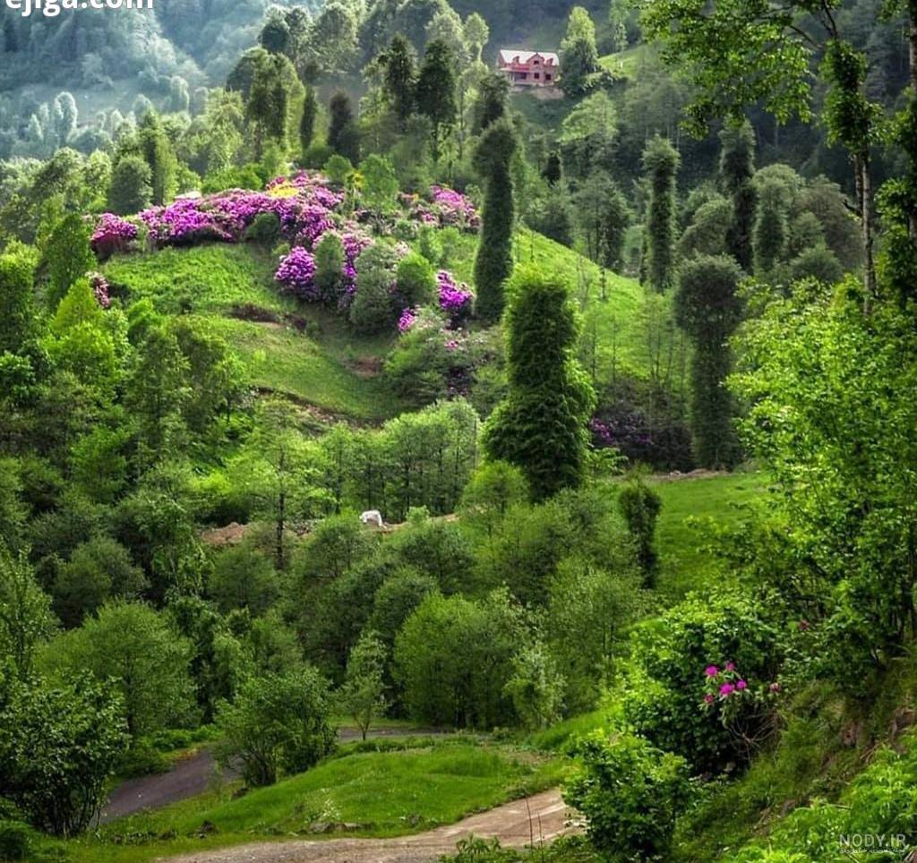 مرد از خدا پرسید چرا زن را زیبا افریدی مرد از خدا پرسید چرا زن را زیبا افریدی