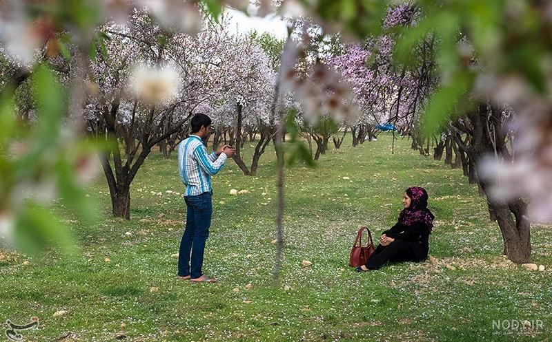 عکس طبیعت بهاری ایران
