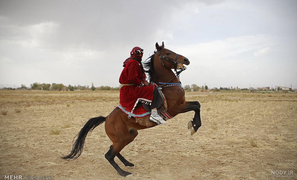 اسب حضرت عباس چه شد اسب حضرت عباس چه شد