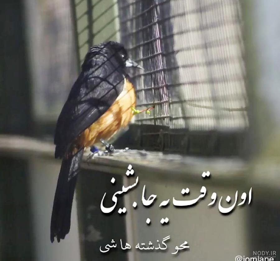 اشعار غمگین و سوزناک اشعار غمگین و سوزناک