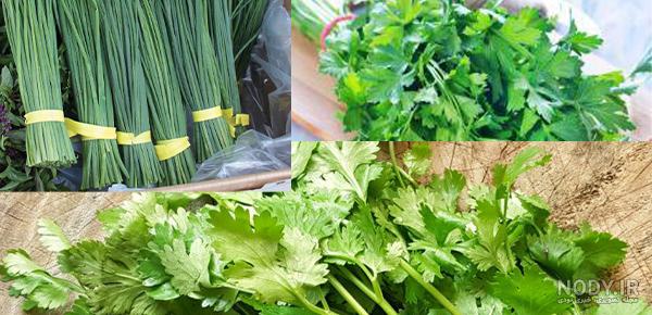 خواص جعفری برای کلیه