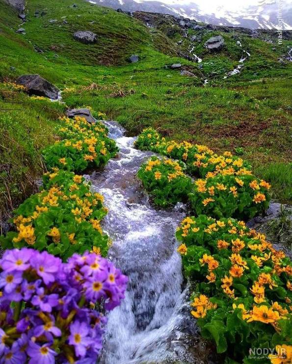 زیباترین عکسهای طبیعت زیباترین عکسهای طبیعت