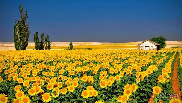 زیباترین عکسهای طبیعت