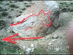 سنگ شکل ماهی نشانه چیست سنگ شکل ماهی نشانه چیست