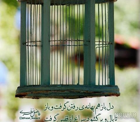 شعر رهایی از شاملو شعر رهایی از شاملو