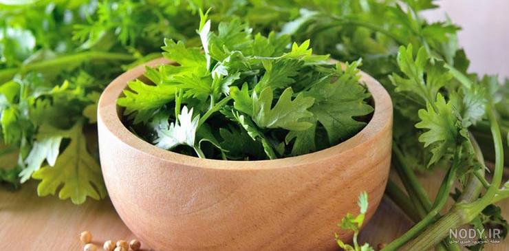 شکل جعفری