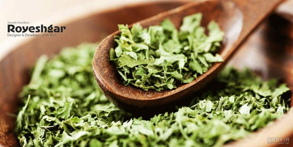 طبع جعفری و گشنیز