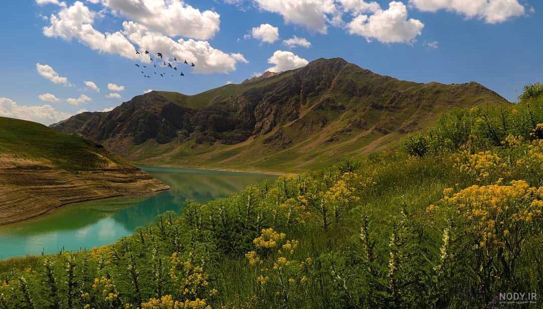 عکس از طبیعت برای پروفایل شاد