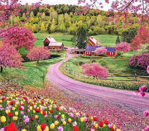 عکس از طبیعت واقعی