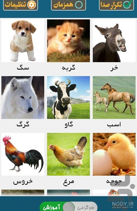 عکس حیوانات برای اتاق کودک عکس حیوانات برای اتاق کودک