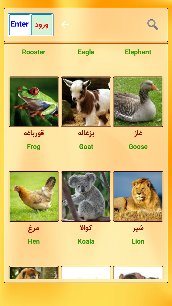 عکس حیوانات برای کودک عکس حیوانات برای کودک