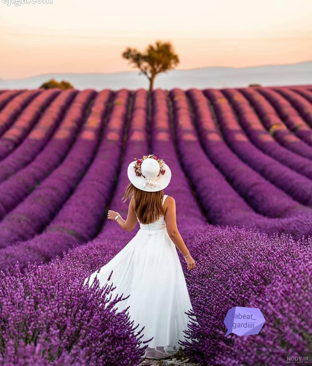 عکس شاد طبیعت