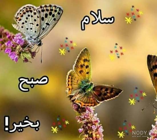 عکس صبح بخیر خنده دار
