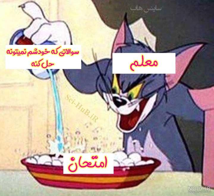 عکس صدام موقع دستگیری عکس صدام موقع دستگیری