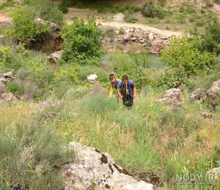عکس طبیعت واقعی زمستان