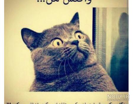 عکس نوشته های خنده دار شب امتحان
