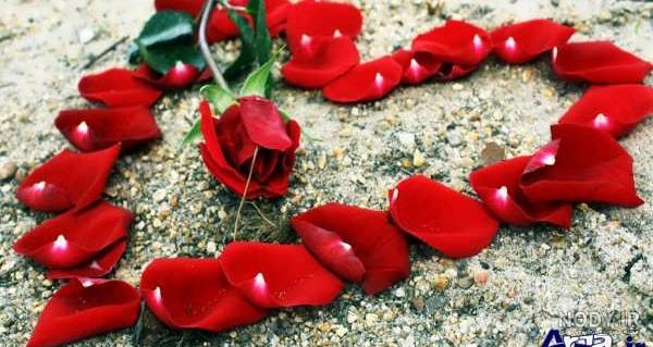 عکس های جذاب