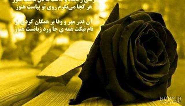 عکس همدردی با رفیق