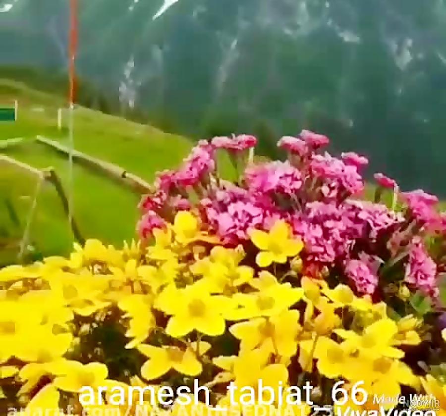 عکس پروفایل طبیعت فانتزی