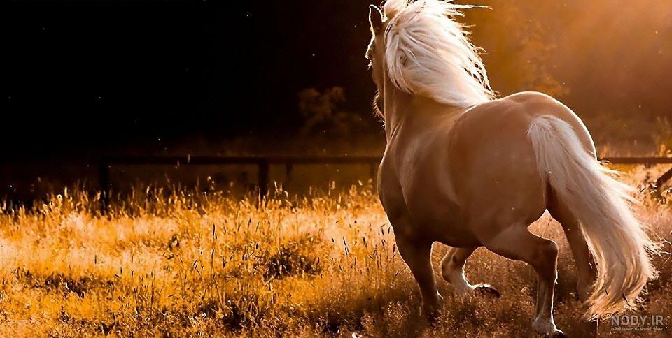 عکس پس زمینه ساده و زیبا عکس پس زمینه ساده و زیبا