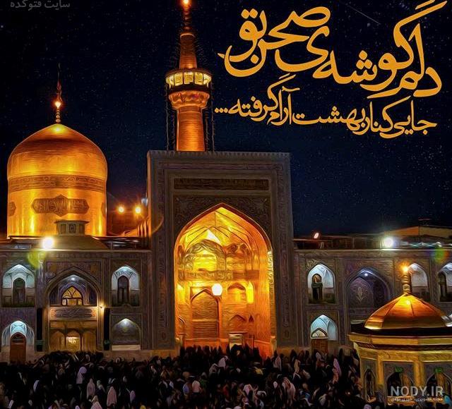 عکس کبوتر حرم امام حسین