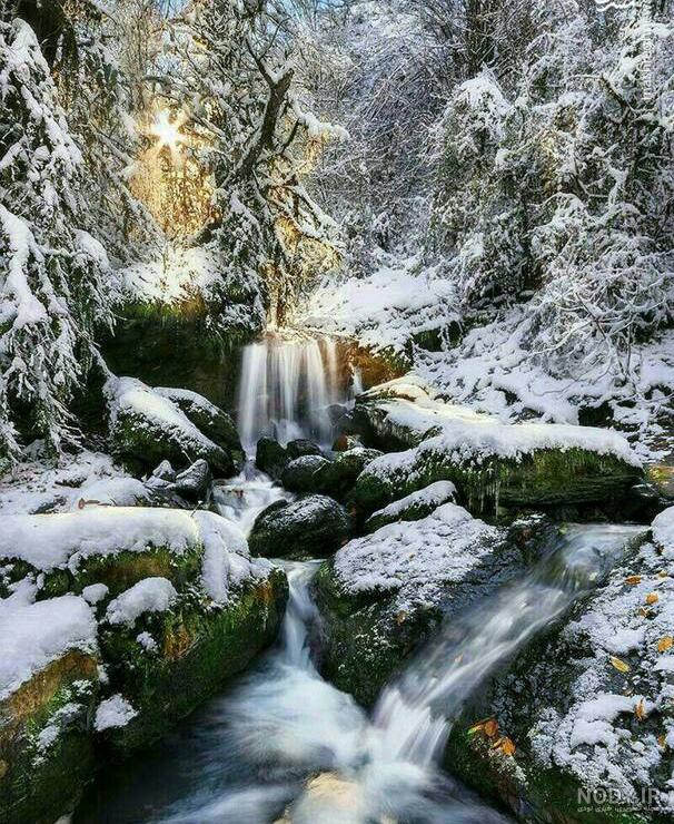 عکسهای زیبا از طبیعت در فصل زمستان