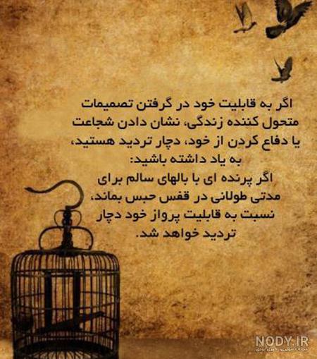 متن درباره پرنده در قفس متن درباره پرنده در قفس