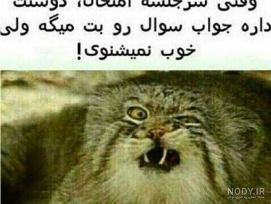 پروفایل امتحانات مجازی